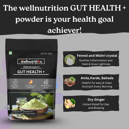The Well Nutrition Gut Health + Powder